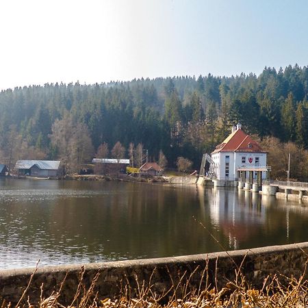 Ferienhaus Nr 18B1, Feriendorf Hagbuegerl, Bayr Wald Waldmünchen Kültér fotó